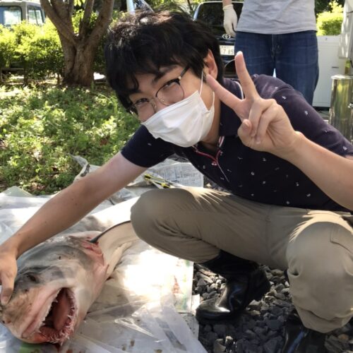 写真：１．５ｍのサメを前にして途方に暮れるもとりあえず写真をとる筆者